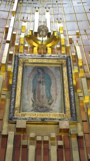 Our-Lady-of-Guadalupe-Tilma