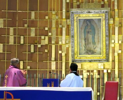 Tribute to Our Lady of Guadalupe Tribute to Our Lady of Guadalupe