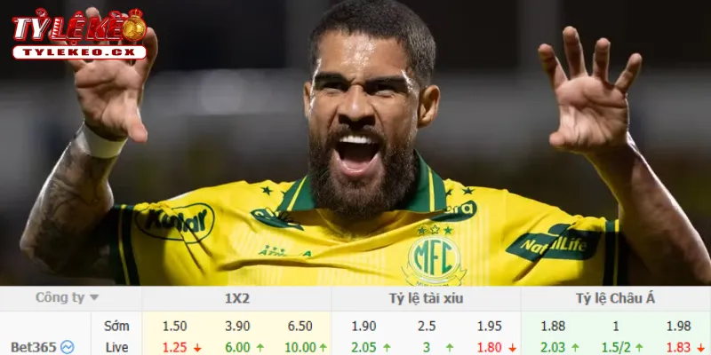Soi Kèo Flamengo vs Mirassol (05h30 ngày 03/09) Giải VĐQG Brazil 3 Chi tiết kèo Flamengo vs Mirassol