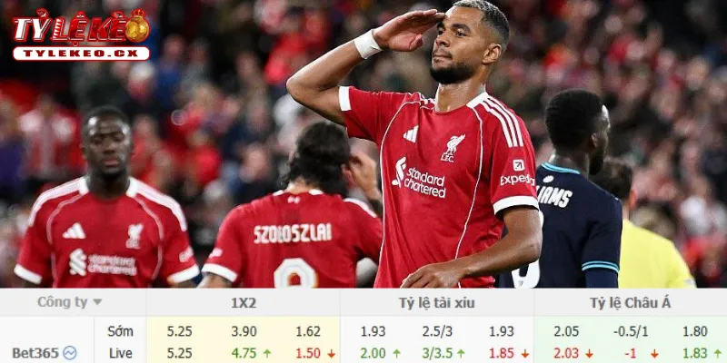 Soi Kèo Ipswich Town vs Liverpool (02h00 ngày 05/09) Premier League 3 Chi tiết kèo Ipswich Town vs Liverpool