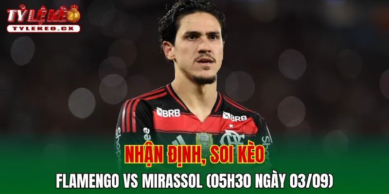 Soi Kèo Flamengo vs Mirassol (05h30 ngày 03/09) Giải VĐQG Brazil 2 Soi kèo cuộc so tài Flamengo vs Mirassol
